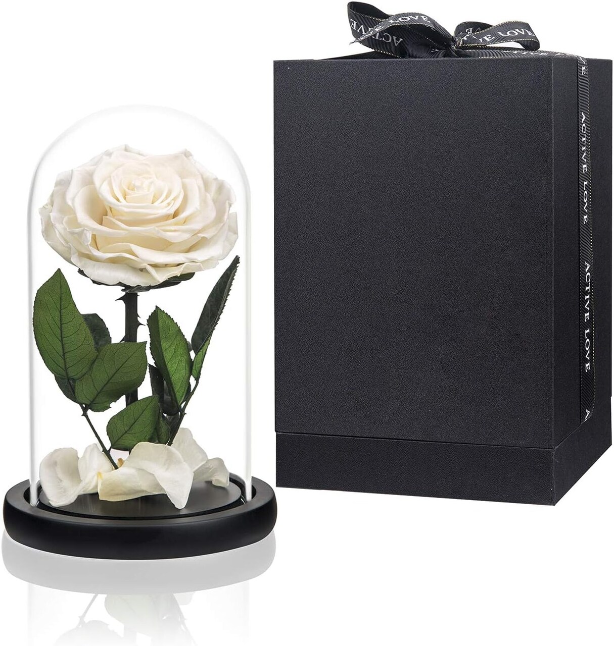Preserved Flowers White Roses in Glass Dome (White) 4.7"D x 4.7"W x 7.5"H